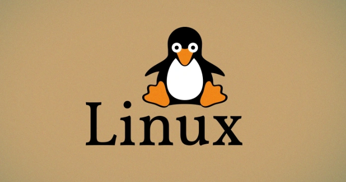 linux命令行怎么打开文件？