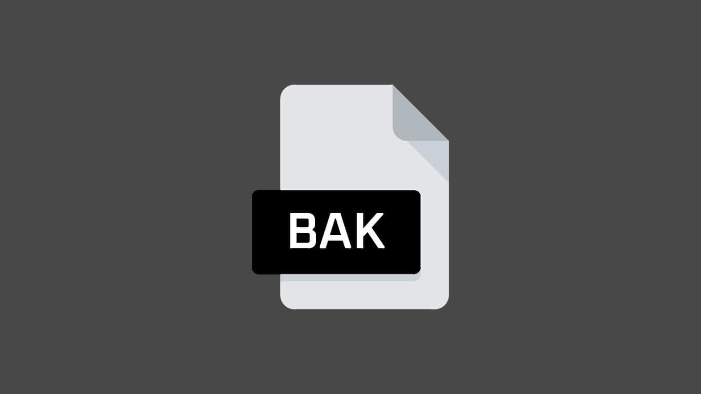 Bak文件