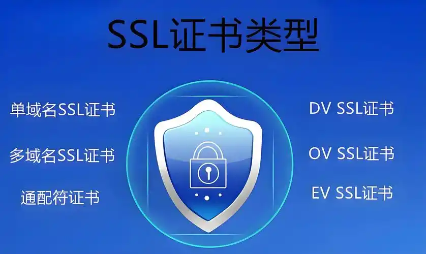 服务器证书的类型