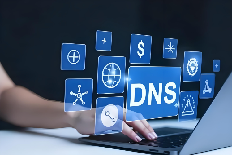 DNS服务器未响应