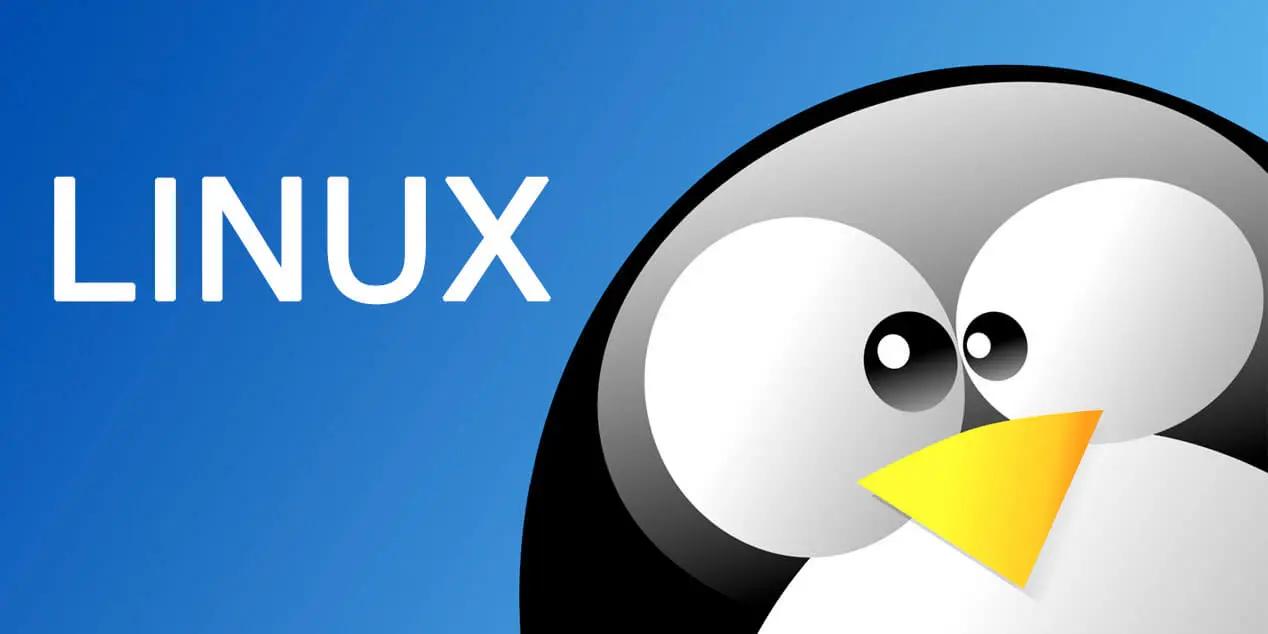 Linux查看CPU