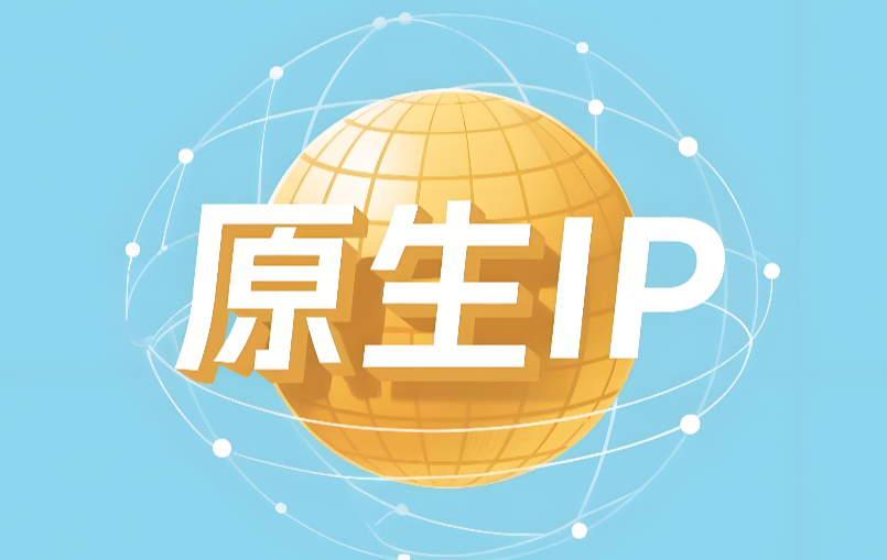 原生IP,广播IP